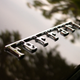Illustration for article titled Steve McQueen’s $2.3M Ferrari 250 GT Lusso: What Can Brown Do For You?